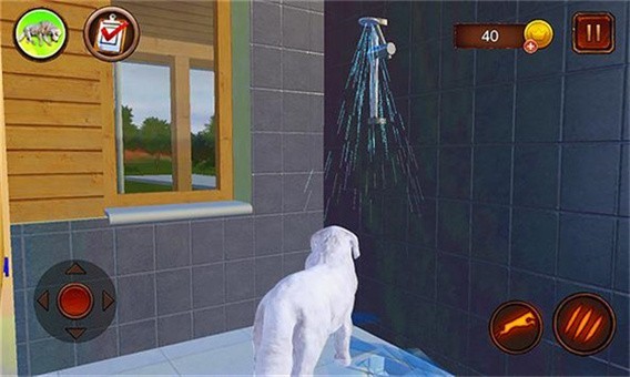 塔特拉牧羊犬模拟