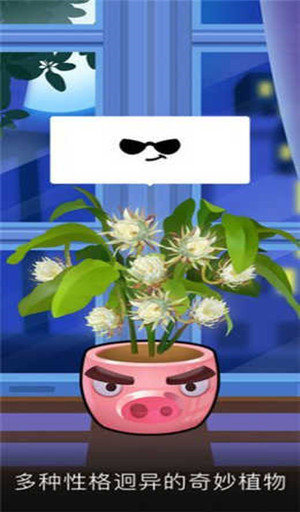我有个花园截图4