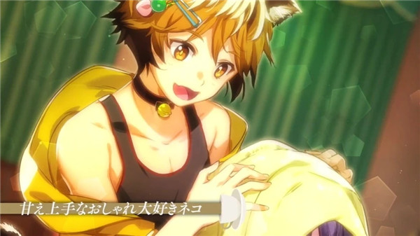 猫郎乐园
