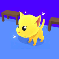 小猫出门
