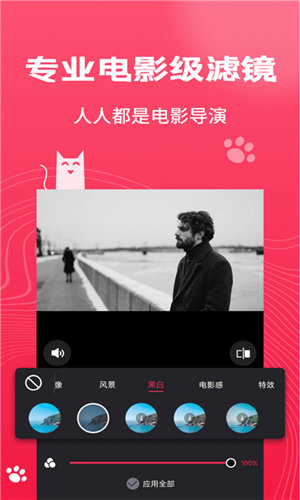 Pr剪辑大师图2