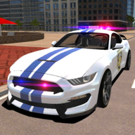R8警察模拟器(R8 Police Car Drivin)