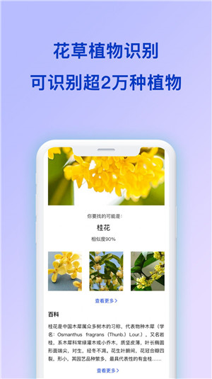 扫描识图
