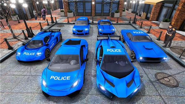 美国警用车运输图2