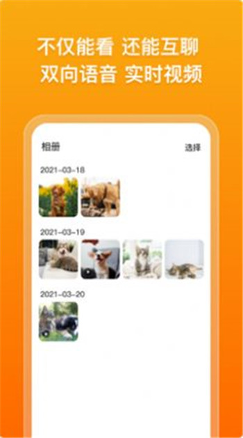 古力古利图1