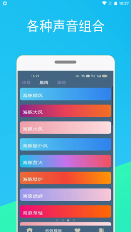 蚂蚁睡眠-0