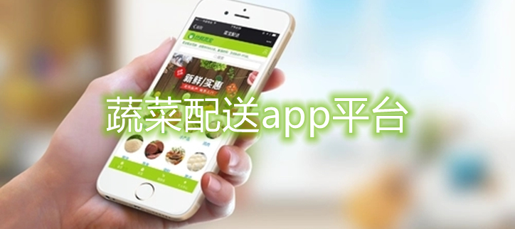 蔬菜配送app平台
