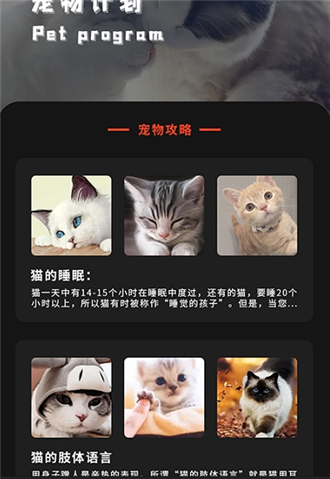 喵喵之家图1
