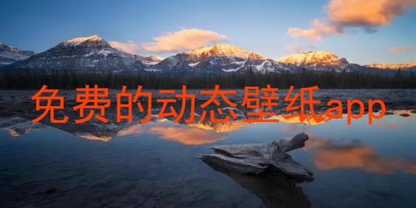 免费的动态壁纸app