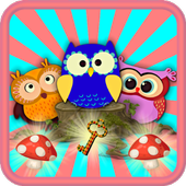 疯狂猫头鹰(Crazy Owls)