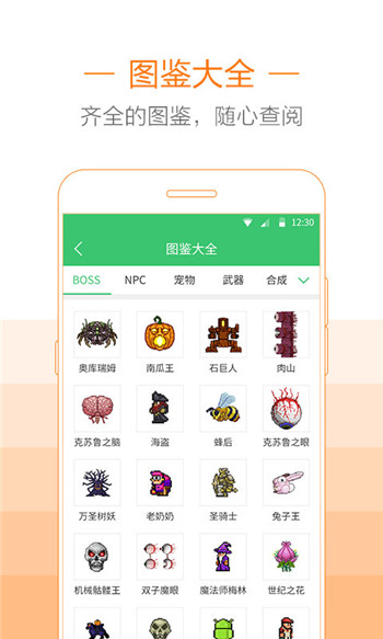 泰拉瑞亚盒子