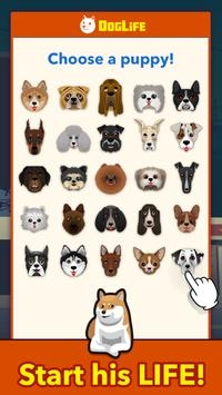 DogLife截图2