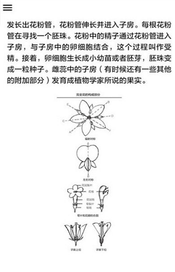 野外植物识别手册-2