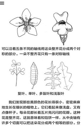 野外植物识别手册-1