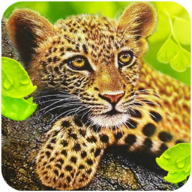 真实猎豹模拟(The Leopard)