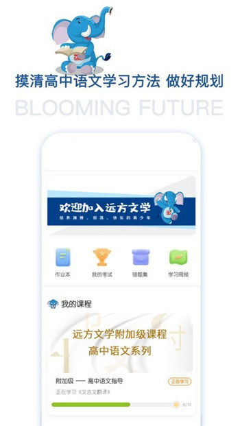 花开远方图1