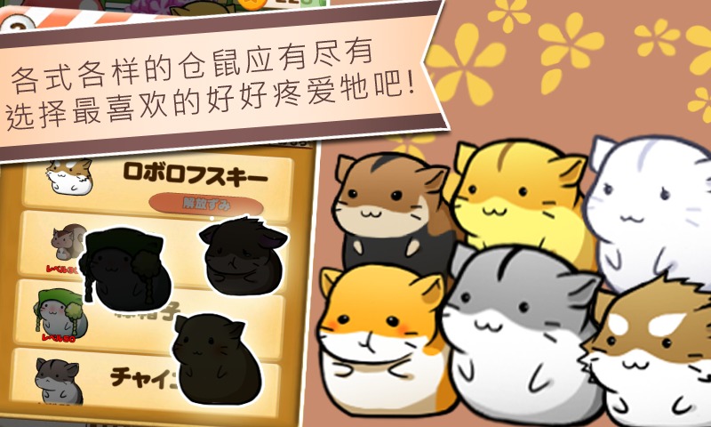 仓鼠的日常(Hamster Life)