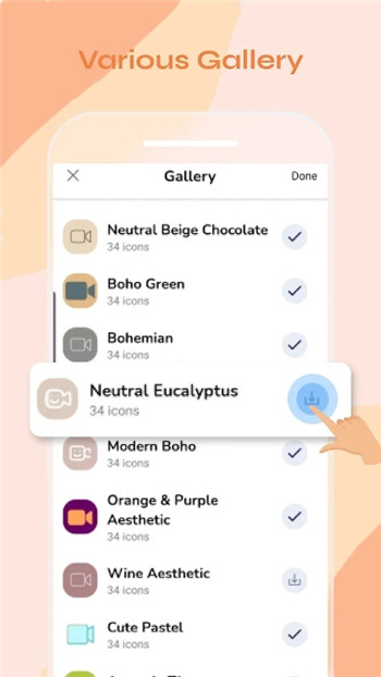 自定义图标更换器(CustomIcon)