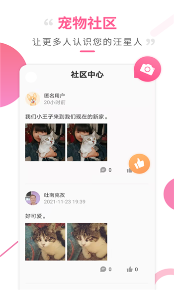 狗语翻译工具-3