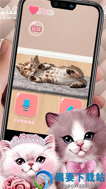 猫猫语言转换器app图1