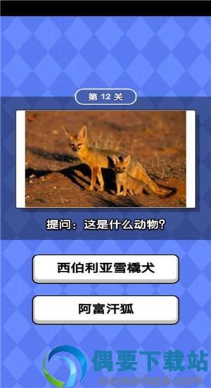 动物滑滑乐图3