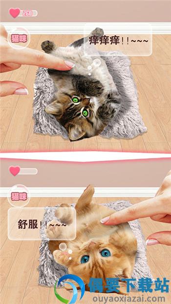 猫猫语言转换器app图2
