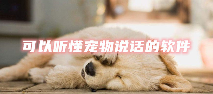 可以听懂宠物说话的软件