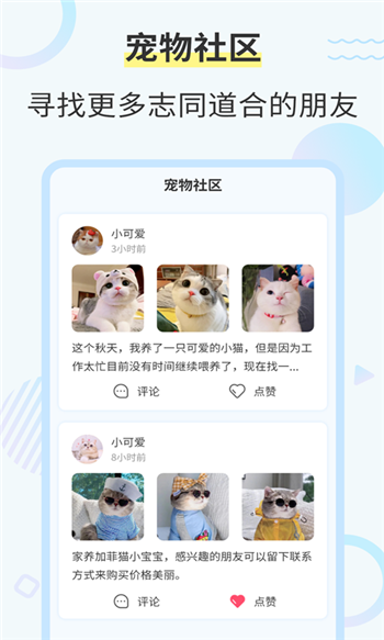 猫语猫咪翻译器