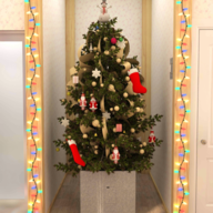 圣诞节5(Christmas5)