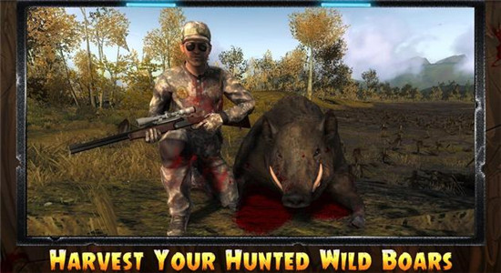 猎猪射击(Pig Hunting Shooting Game)-0