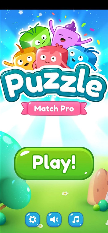 Puzzle Match Pro