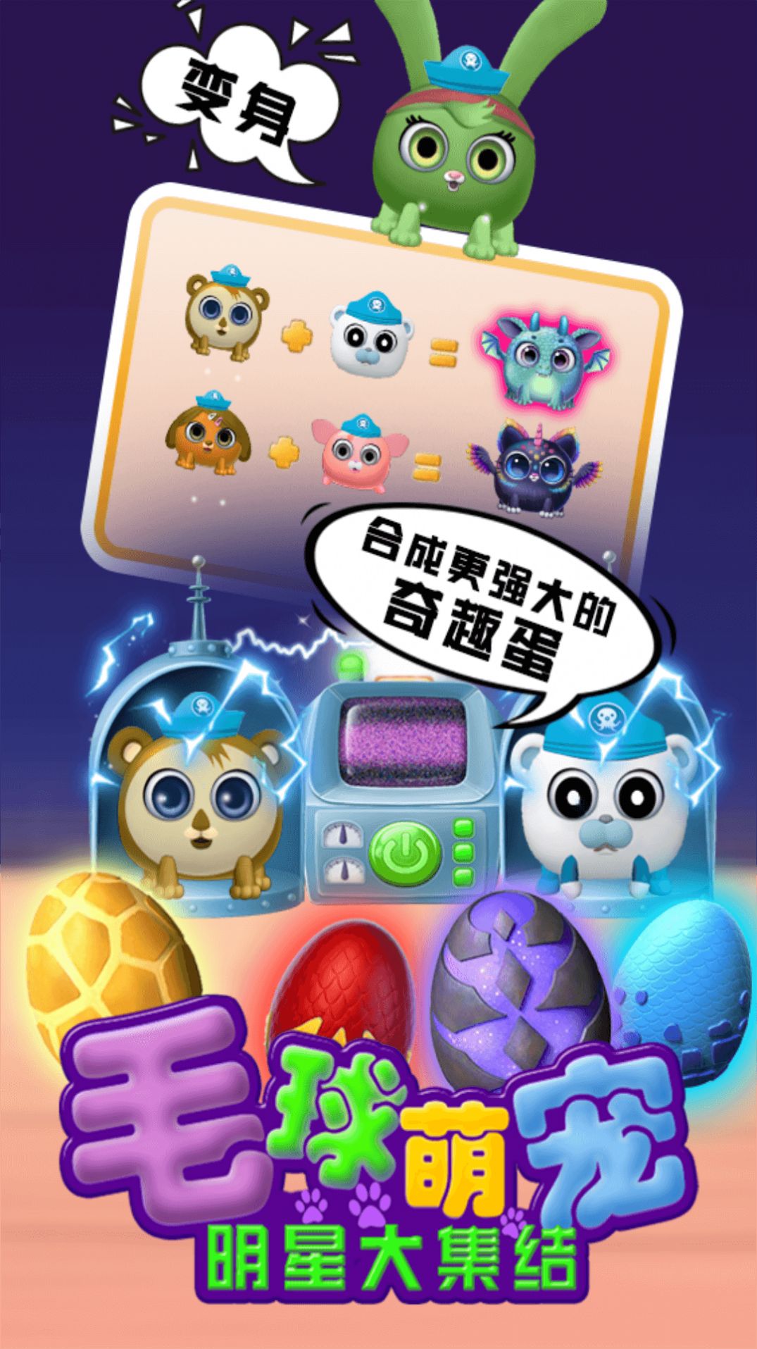 毛球萌宠明星大集结图1