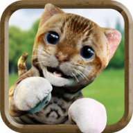 可爱的猫模拟器(Cute Cat Simulator Games Free Family Pet Kitten)