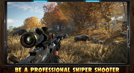 猎猪射击(Pig Hunting Shooting Game)