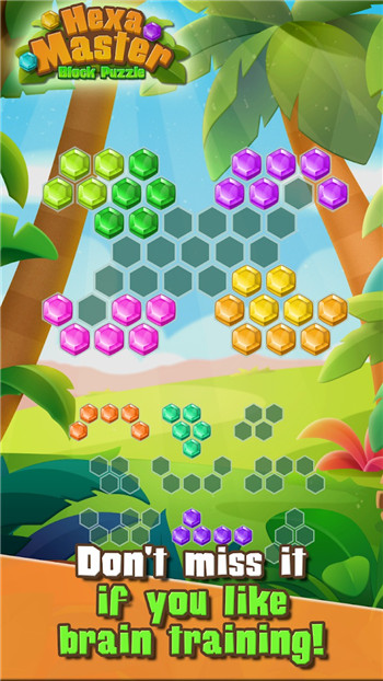 Hexa Master
