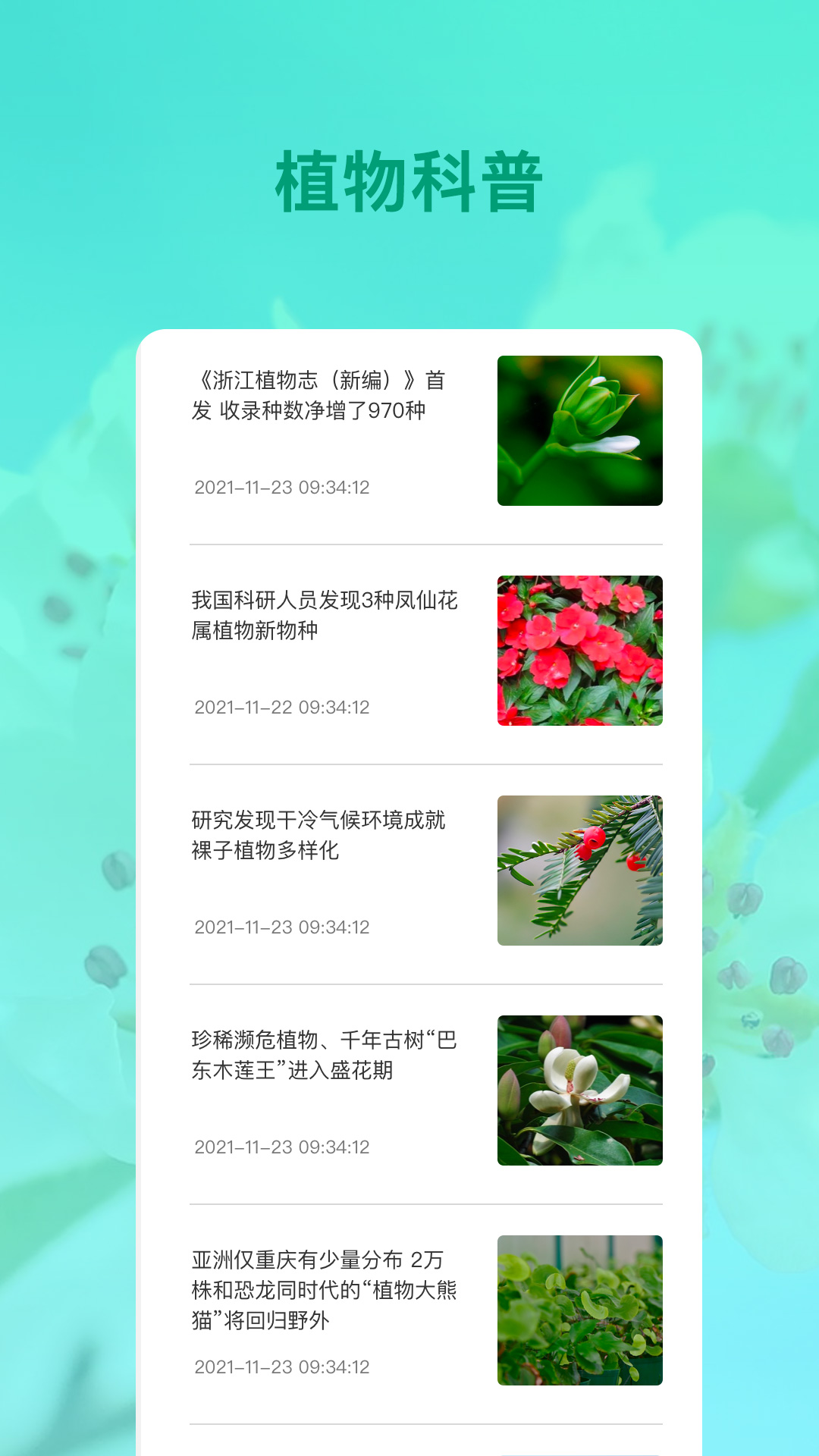 花卉识别截图1