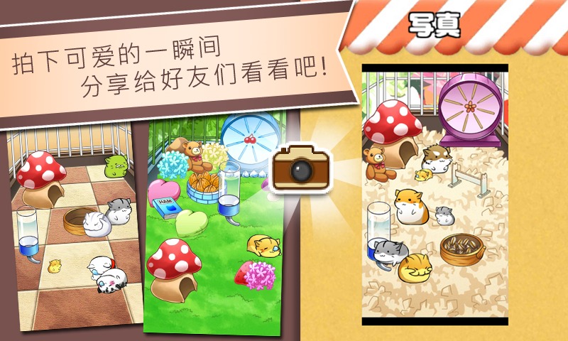 仓鼠的日常(Hamster Life)