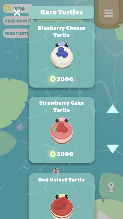龟谷(Turtle Valley)