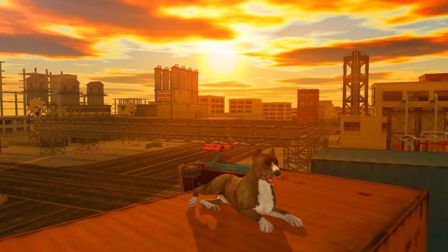 比特犬模拟器(Pitbull Dog Simulator)