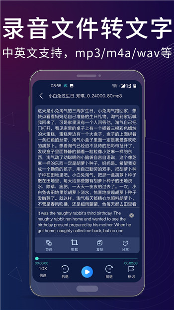 录音翻译转文字助手截图1