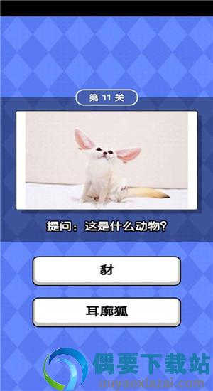 动物滑滑乐图1