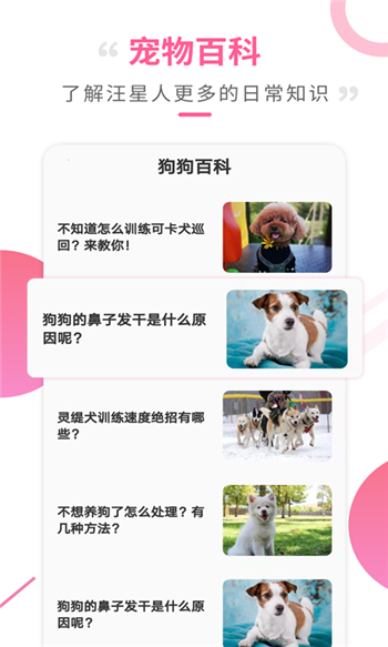 狗语翻译工具-4