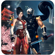 超级英雄忍者功夫格斗(Superhero Ninja Kung Fu Fights)