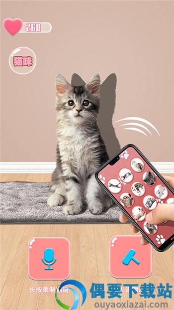 猫猫语言转换器-2