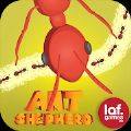 牧羊蚁(Ant Shepherd)
