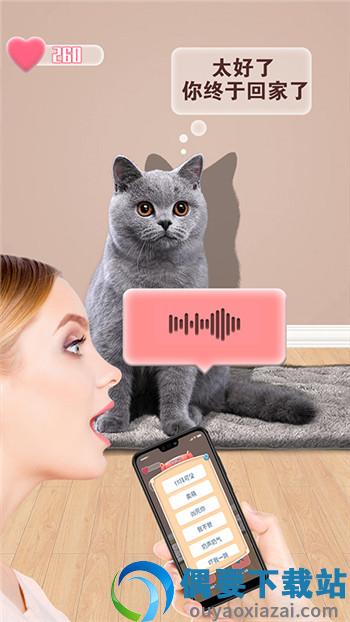 猫猫语言转换器