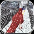 野生恐龙冬季丛林3D(Wild Dinosaur Winter Jungle 3D)