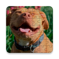 斗牛犬拼图(Quebra-Cabecas Pitbull)