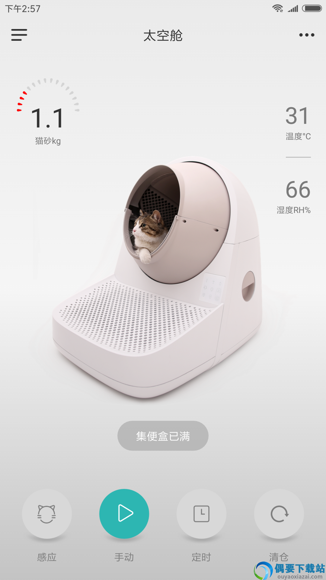 catlink截图5