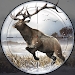 猎鹿2(Deer Hunting 2)
